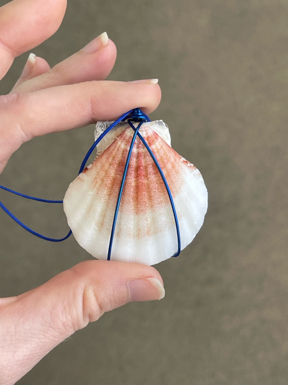 Blue Wire Wrap Seashell Necklace One Size
